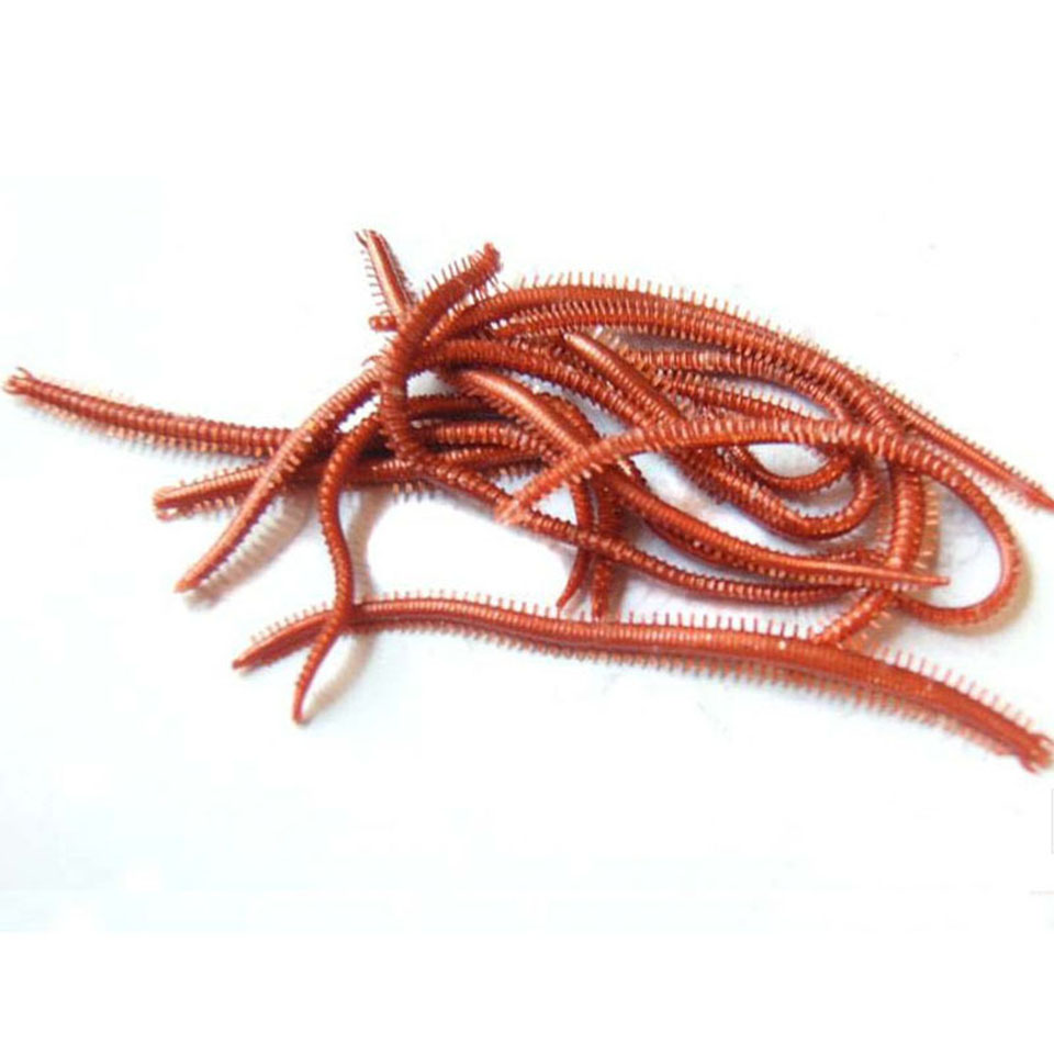 10 Cái/lốc Biển Nhân Tạo Sâu M - đánh giá và giá Fishing Lure Soft Plastic
